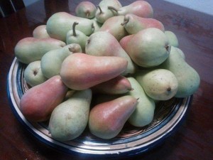 Fruitcampagne